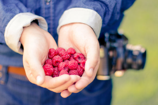 Why we use Meeker Raspberry Seeds